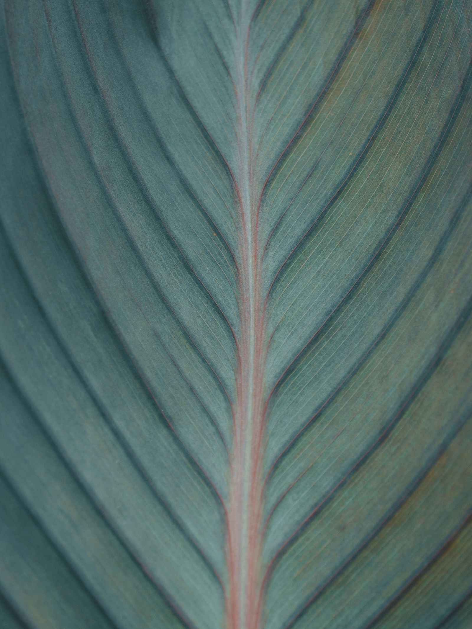 aaron burden puQ8iqUvs9o unsplash