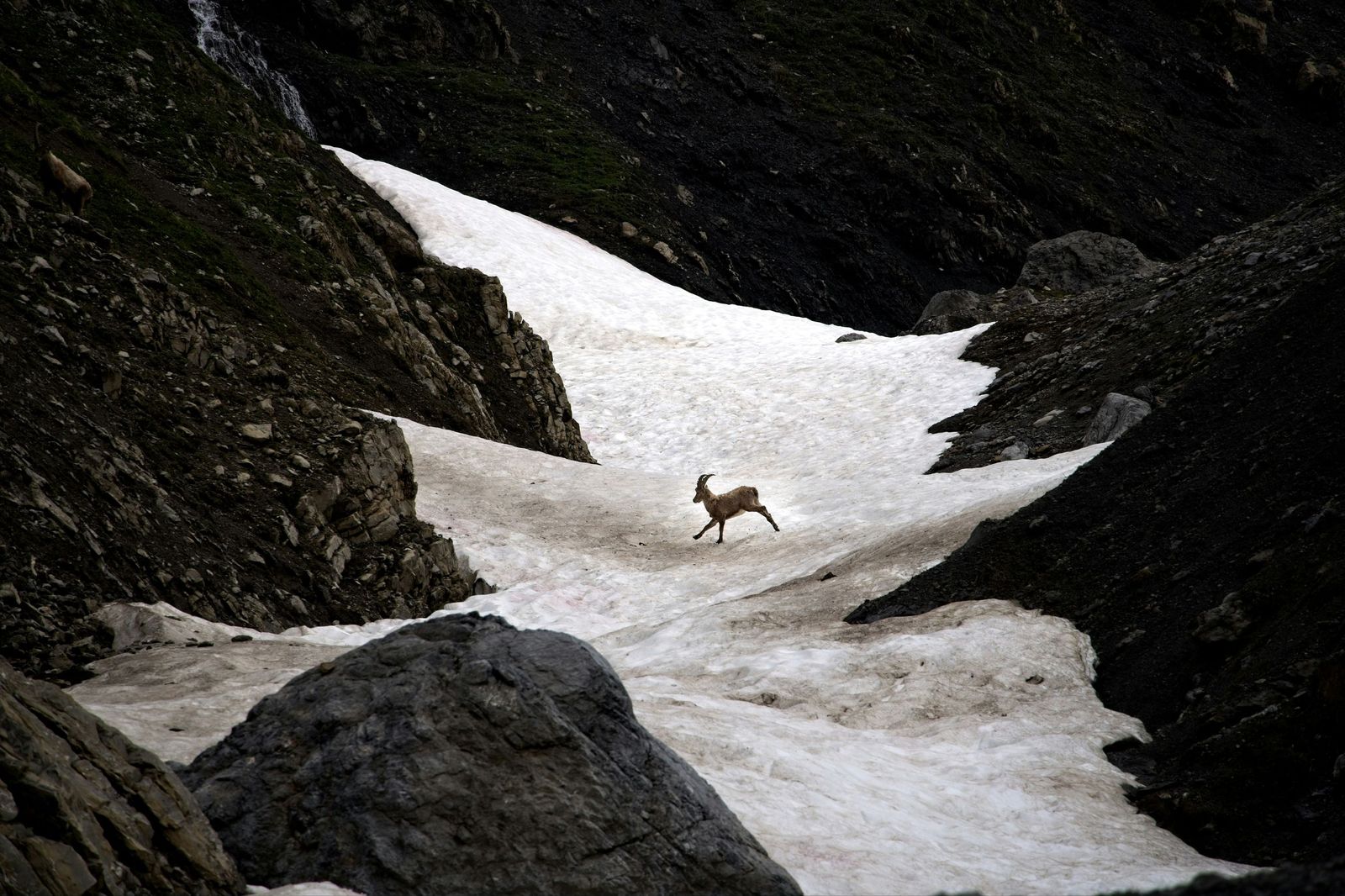 10 imágenes de naturaleza que no te dejarán indiferente