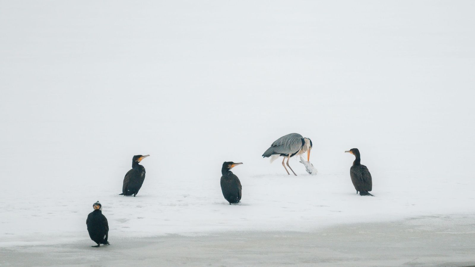 10 imágenes de naturaleza que no te dejarán indiferente