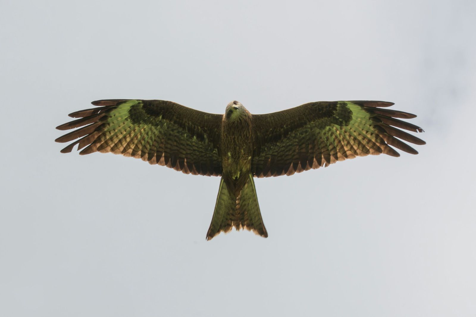 10 imágenes de naturaleza que no te dejarán indiferente