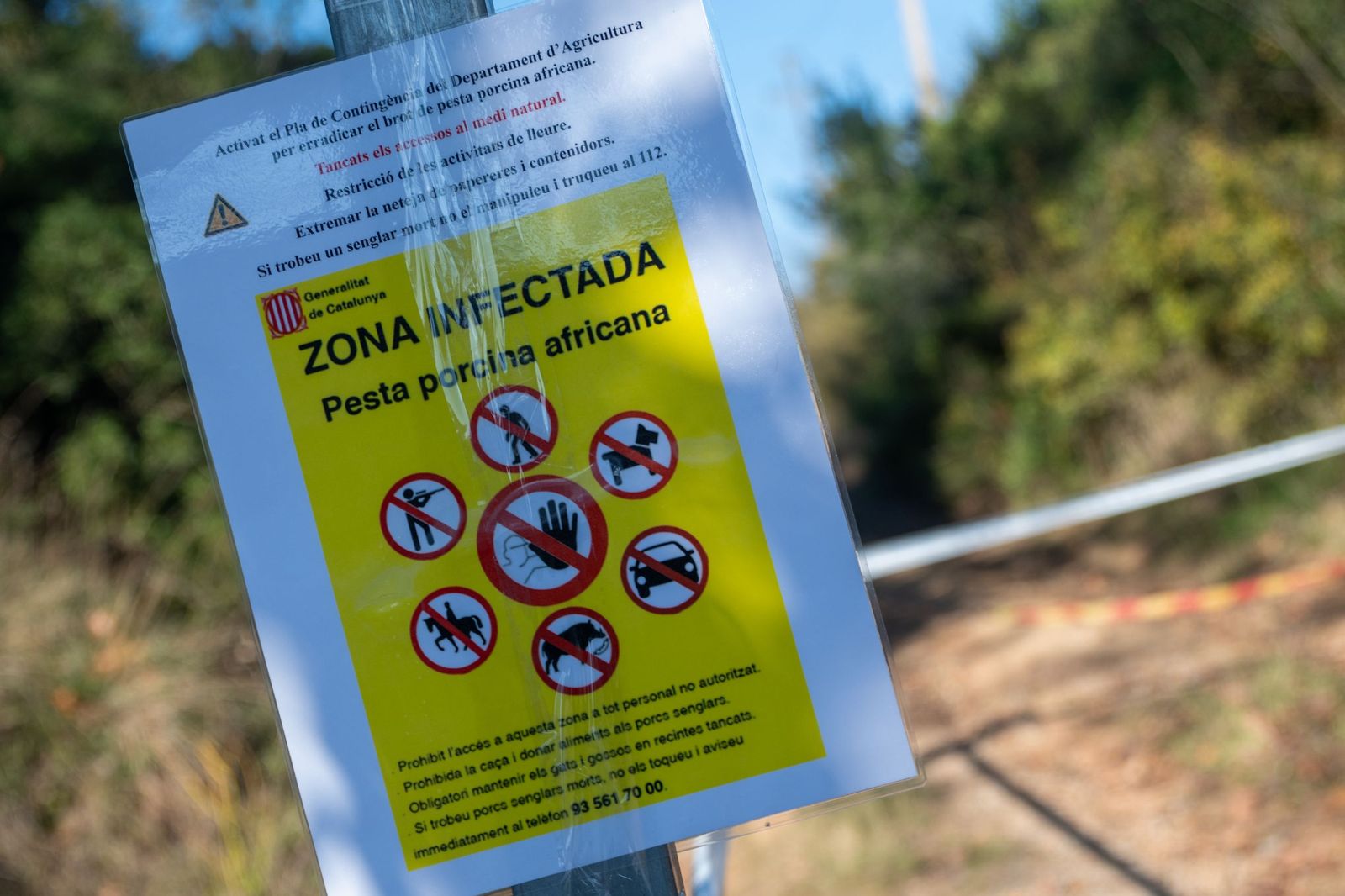 Cartell d'alerta de zona infectada per la pesta porcina africana al Parc de Collserola