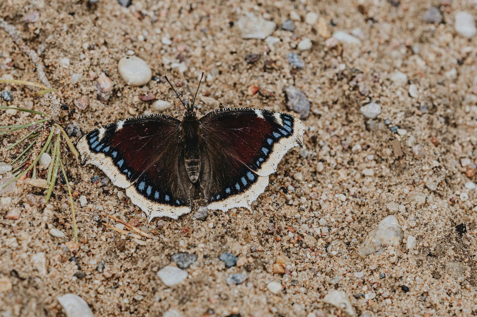 10 imágenes de naturaleza que no te dejarán indiferente