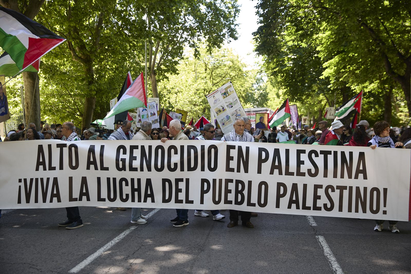 Manifestantes portan pancarta con lema 'Alto al genocidio en Palestina ¡Viva la lucha del pueblo palestino!' durante una manifestación pro Palestina, a 17 de mayo de 2026, en Madrid (España).