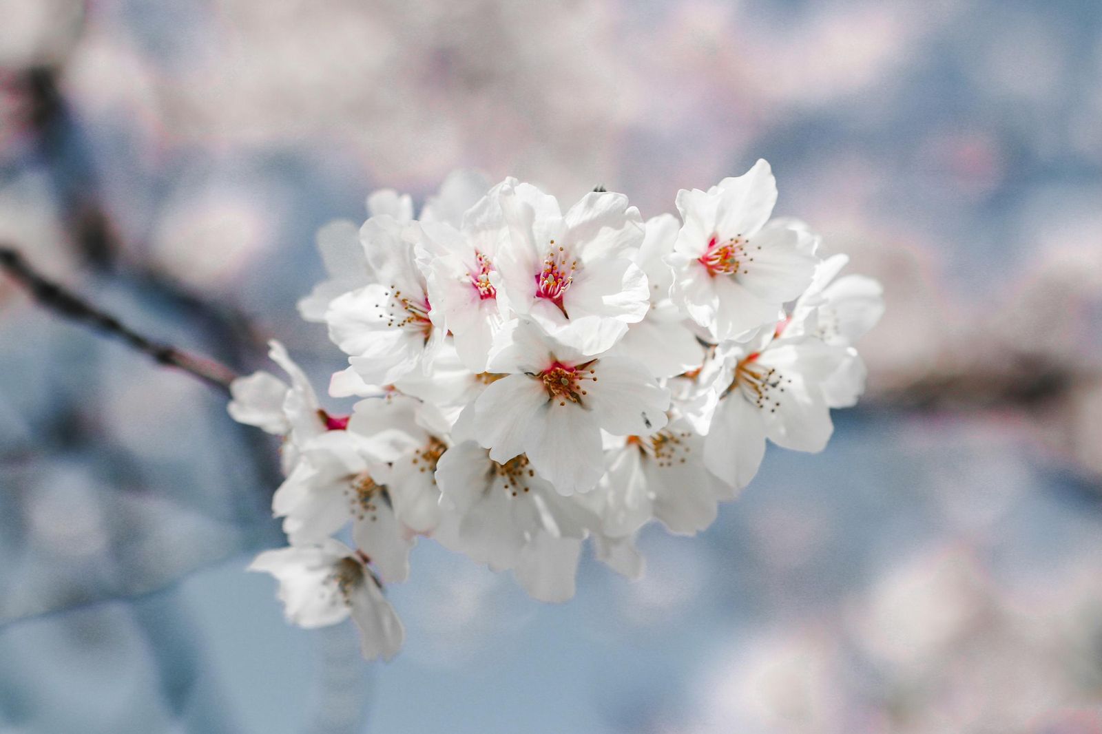 kenn-reynon-YG78b5QZYRM-unsplash