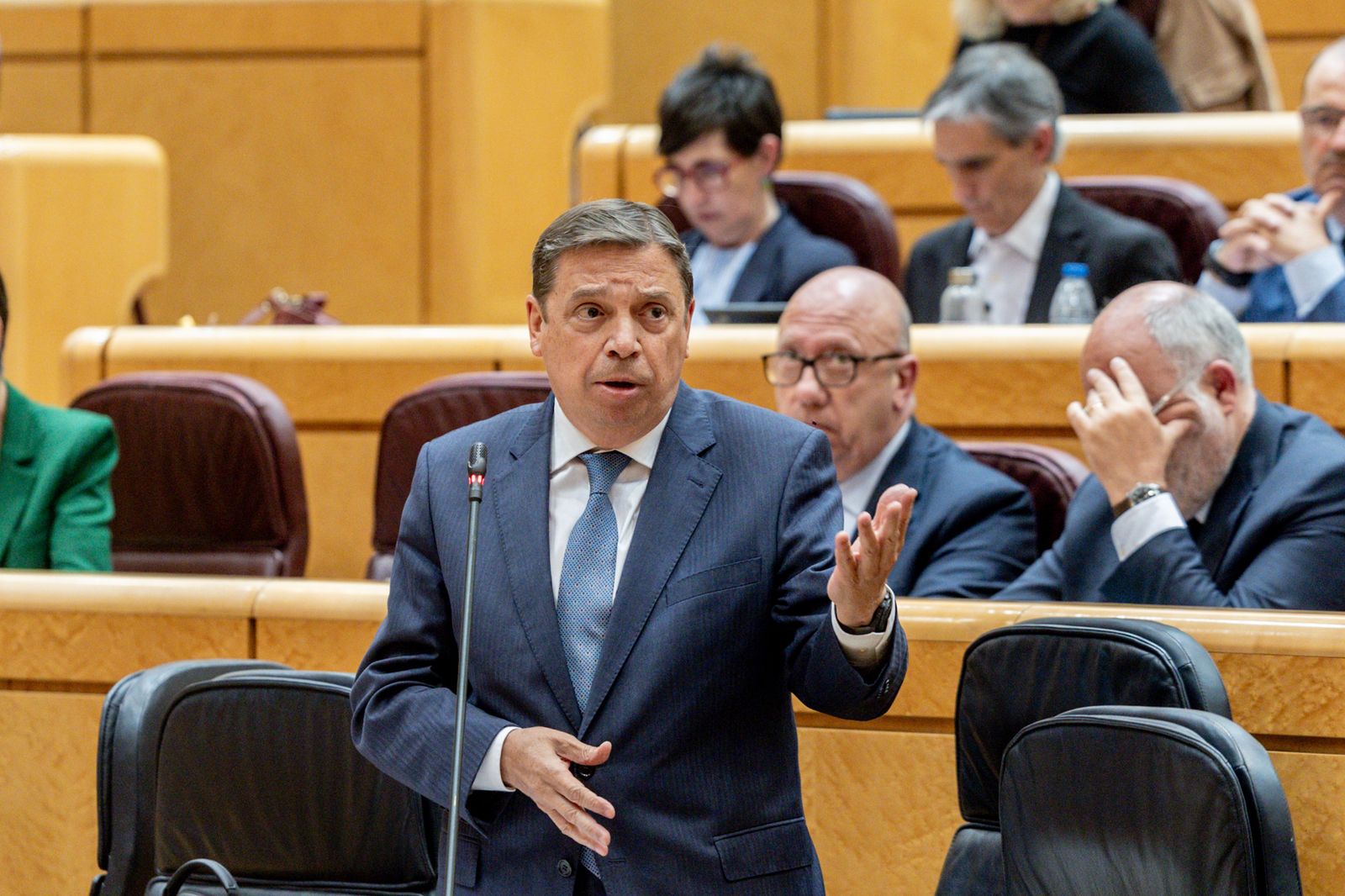 El ministro de Agricultura, Pesca y Alimentación, Luis Planas, durante una sesión de control al Gobierno, en el Senado