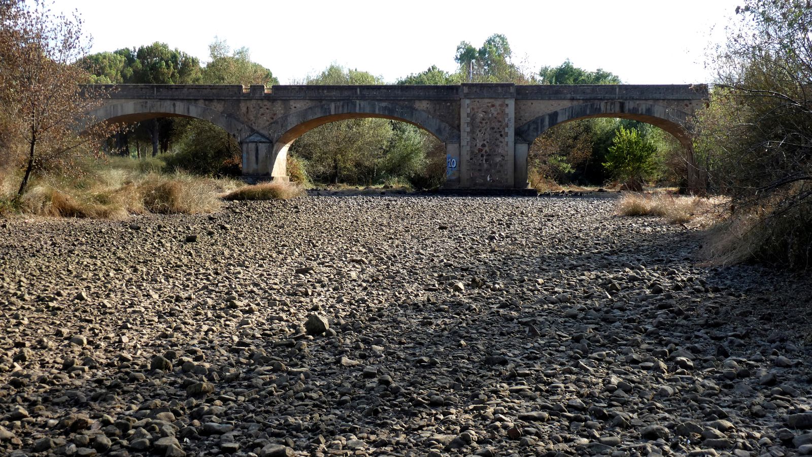 Expertos alertan de que el agua es la primera víctima de la crisis climática
