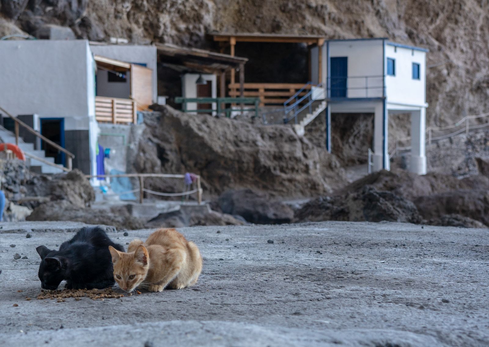 Fotogalería: Porís de Candelaria en La Palma