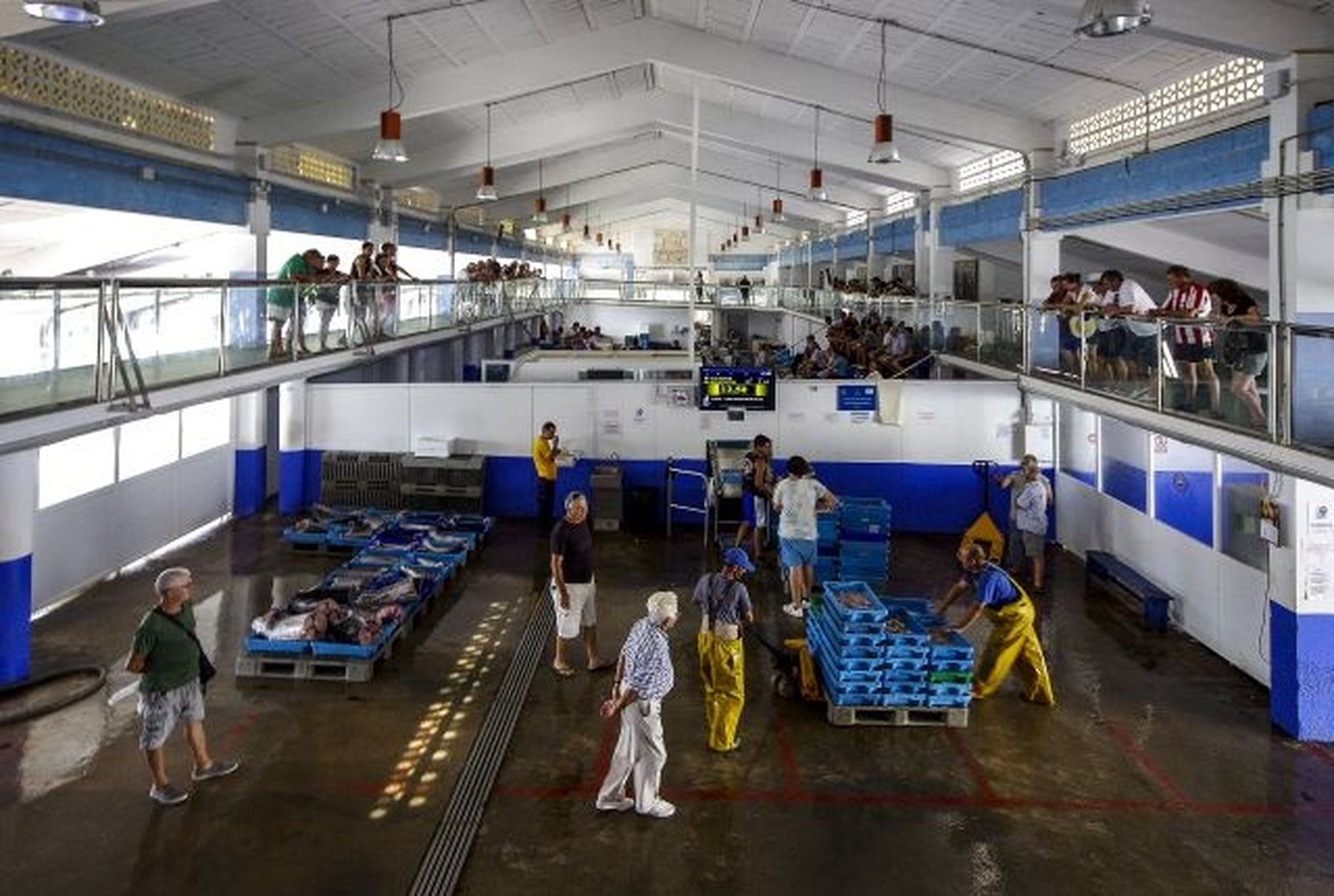 Archivo - Lonja de pescado de Calpe