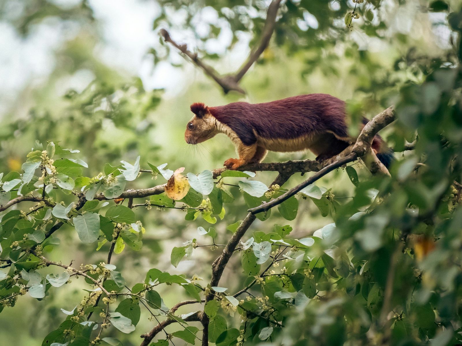 10 imágenes de naturaleza que no te dejarán indiferente