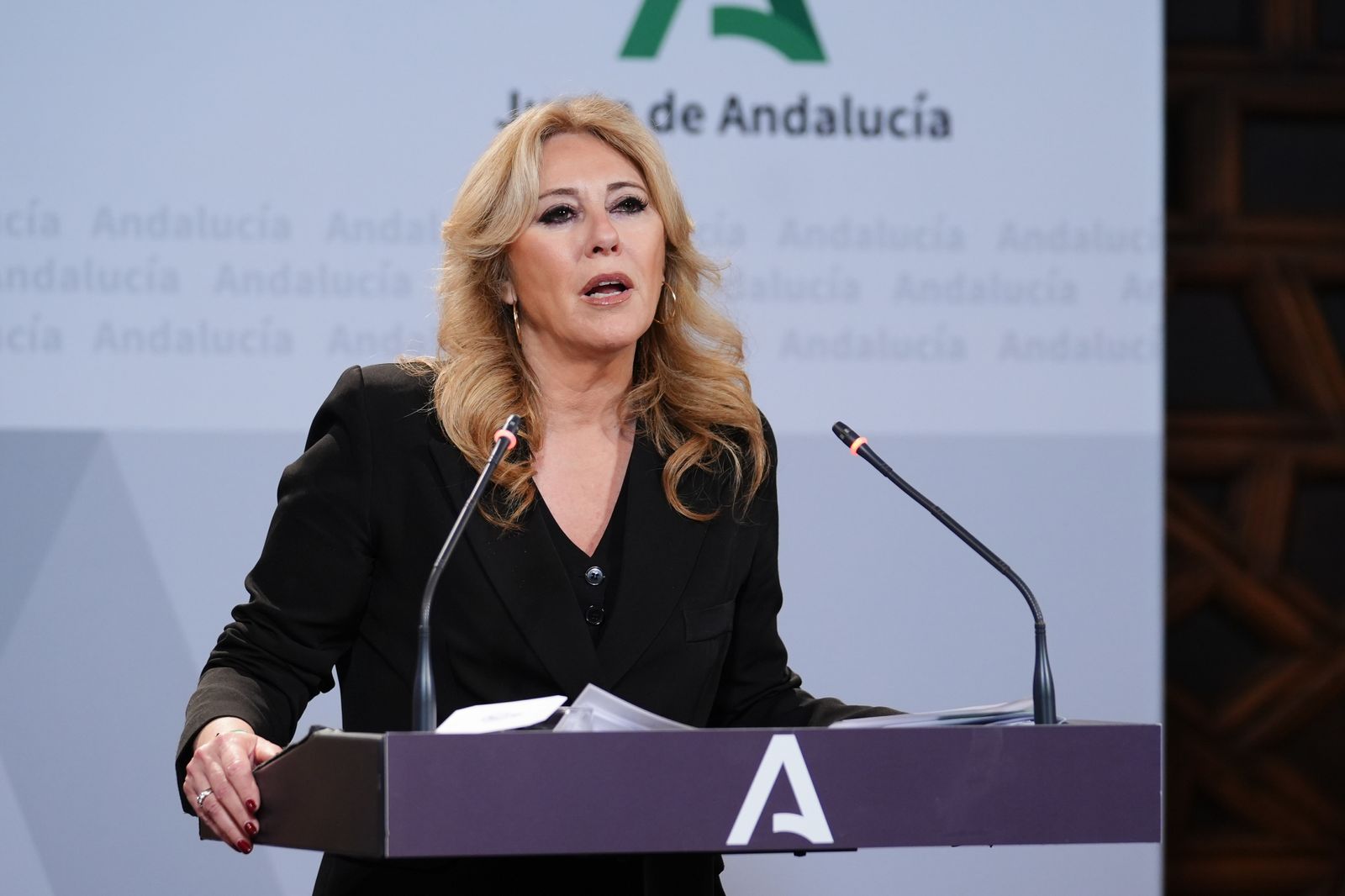 La consejera de Economía, Hacienda y Fondos Europeos y portavoz del Gobierno, Carolina España, interviene durante la rueda de prensa posterior al Consejo de Gobierno. A 25 de abril de 2025, en Sevilla (Andalucía, España). El Consejo de Gobierno de la Junt