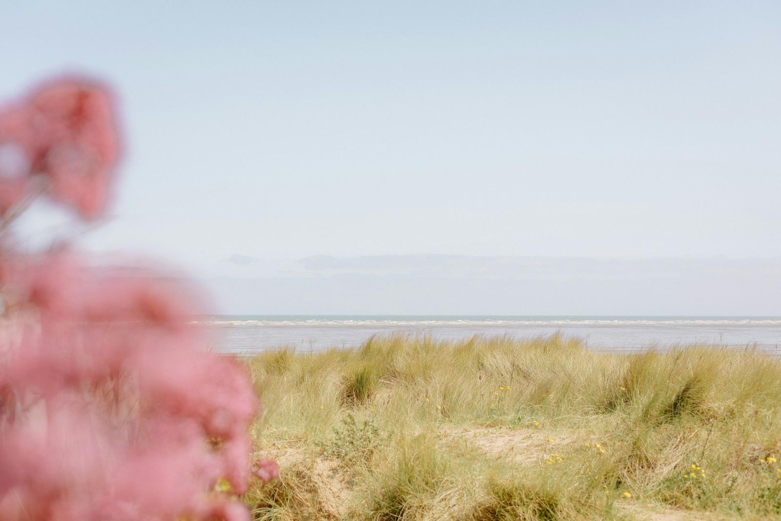 annie-spratt-6PKw0t-wm0M-unsplash