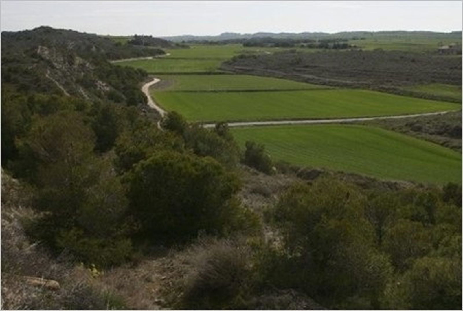 La Generalitat destina 59,49 millones al CGE.